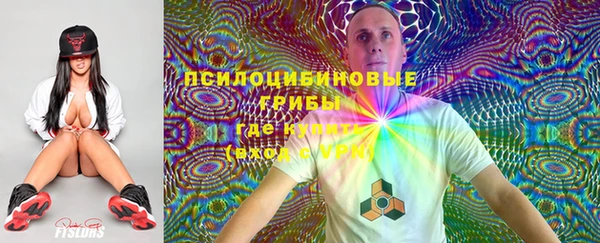 не бодяженный Нефтегорск