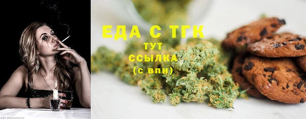 гидра Абаза