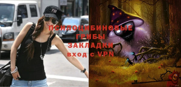 гидра Абаза