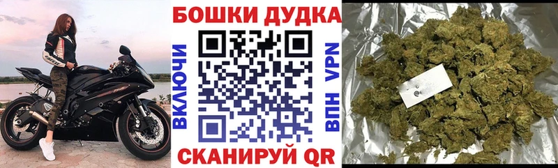 Марихуана конопля  купить наркоту  Апатиты 
